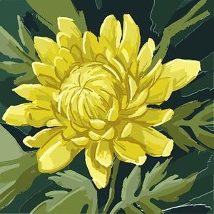 Meet your Posher, Han